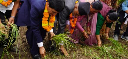 पहिलो राष्ट्रिय कोदो दिवस आज मनाइँदै, कोदो खेतीमा अग्रसर हुन कृषकहरुलाई कृषिमन्त्री अधिकारीको आग्रह