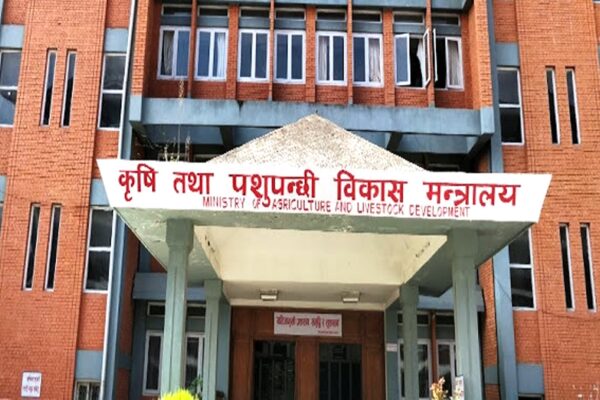 चैते धानको न्यूनतम समर्थन मूल्य प्रभावकारी कार्यान्वयन गर्न कृषि मन्त्रालयको निर्देशन