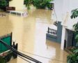 काठमाडौँ महानगरपालिकाभित्र १२८ डुवान क्षेत्र : डुबानबाट ८ हजार ११५ परिवार प्रभावित हुनसक्ने अनुमान काठमाडौँ महानगरपालिकाभित्र १२८ डुवान क्षेत्र : डुबानबाट ८ हजार ११५ परिवार प्रभावित हुनसक्ने अनुमान