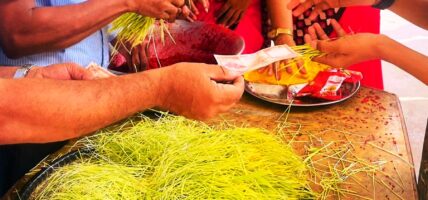 यसपालीको दशैंंको टिकाको साइत असोज १६ गते बिहान ११ बजेर ५३ मिनेटमा, घटस्थापनादेखि अरु साइतबार जान्नुहोस् !