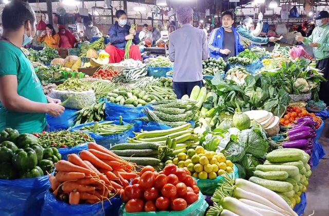 टमाटर किसानको माइतीघरमा आन्दोलनपछि कृषिमन्त्रीको पहलमा उपत्यका बाहिर ढुवानी सुरु