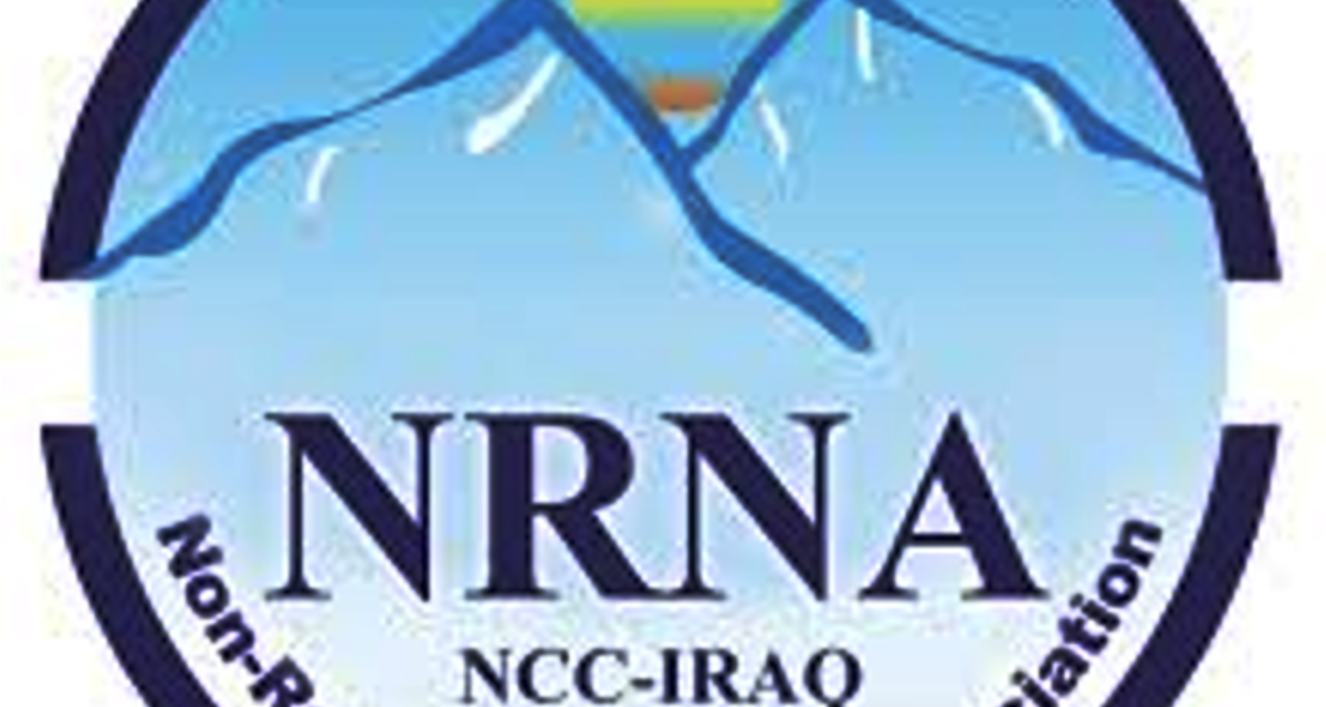 गैरआवासीय नेपाली विधेयकमा व्यापक संशोधन गर्न एनआरएनएको माग