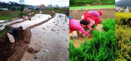 नीतिगत क्षेत्रमा भन्दा कृषि क्षेत्रमा छिटो परिणाम देखाउन सकिने