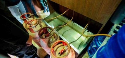खाना पकाउने एलपी ग्यासको सम्भावित जोखिम घटाउन काठमाडौंमा सचेतना र निरीक्षण