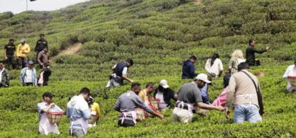 गतवर्षको तुलनामा १९ प्रतिशत बढी पर्यटक आए नेपाल, मे महिनामा संख्या १ लाख २ हजार नाघ्यो