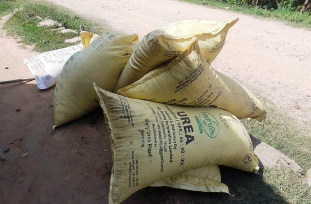 भारतसँग जिटुजीमार्फत रासायनिक मल किन्दै सरकार