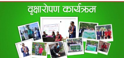 ग्लोबल आइएमई बैंकद्वारा टोखा र दिक्तेल रुपाकोट मझुवागढी नगरपालिकामा बृक्षारोपण