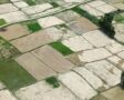 थप तीन स्थानीय तहमा मालपोत सेवा सुरु, स्थानीय तहमा विस्तार हुँदै जग्गा प्रशासन सेवा