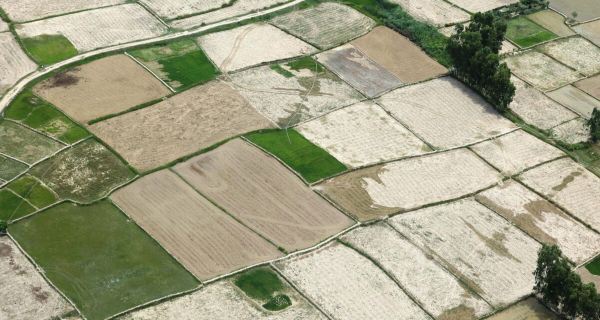 थप तीन स्थानीय तहमा मालपोत सेवा सुरु, स्थानीय तहमा विस्तार हुँदै जग्गा प्रशासन सेवा