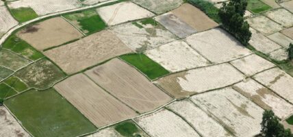 थप तीन स्थानीय तहमा मालपोत सेवा सुरु, स्थानीय तहमा विस्तार हुँदै जग्गा प्रशासन सेवा