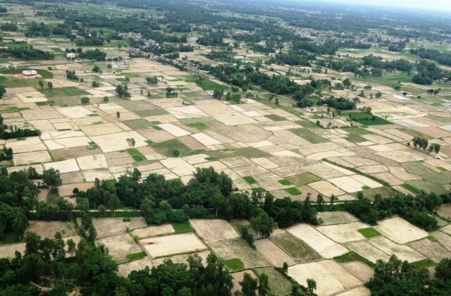 मधेसका १० पालिकामा कृषिको नमुना कार्यक्रम लागू गरिने