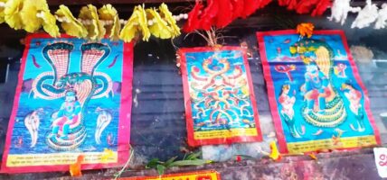 आज नागपञ्चमी पर्व-घरको मूलढोकामा नाग टाँसेर पूजाअर्चना गरी मनाइँदै, हिन्दू धर्मावलम्बीकाे चाडबाड सुरु