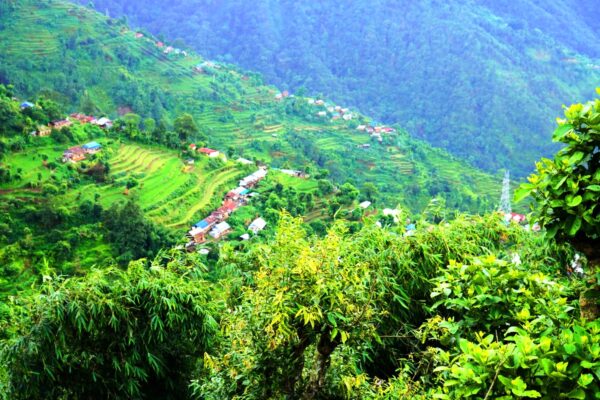 आगामी १० वर्षलाई ‘आरोग्य दशक’का रूपमा मनाउने सरकारी तयारी