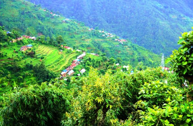 आगामी १० वर्षलाई ‘आरोग्य दशक’का रूपमा मनाउने सरकारी तयारी