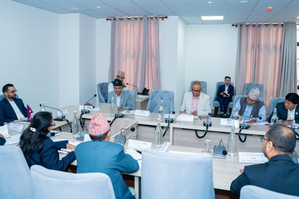 संविधान संशोधन बहसपत्र कार्ययोजनालाई अन्तिम रूप दिँदै स्वीकृत