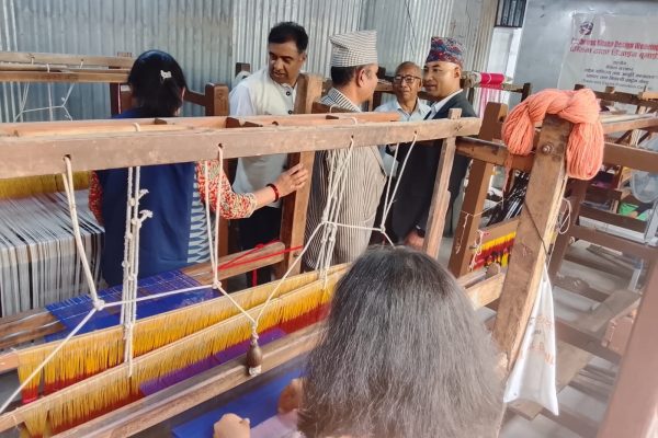 पश्मिना उद्याेग संघद्वारा काठमाडाैंमा पश्मिनामा ढाका डिजाइन बुनाइ तालिम सञ्चालन, ३० जनाले व्यवहारिक सीप लिँदै