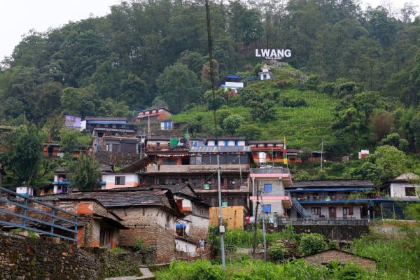 हरियो चियाबारीसँगै हिमालको दृश्यले चम्किँदै ल्वाङको पर्यटन 