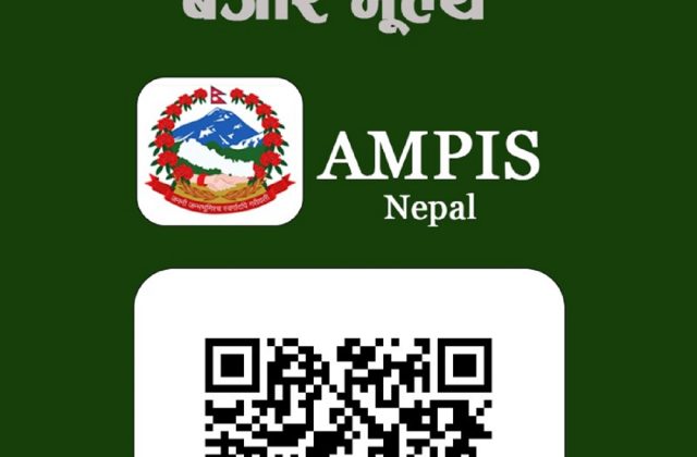 १२ संघीय कृषि बजारको दैनिक थोक मूल्य अब मोबाइलमै, ‘एएमपिआइएस नेपाल’ मोबाइल एप सञ्चालनमा