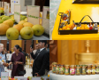 Showcasing Rich Diversity of Bangladeshi Mangoes in Kathmandu Showcasing Rich Diversity of Bangladeshi Mangoes in Kathmandu