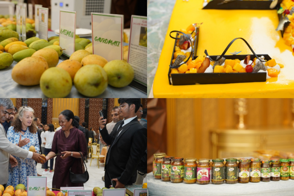 Showcasing Rich Diversity of Bangladeshi Mangoes in Kathmandu Showcasing Rich Diversity of Bangladeshi Mangoes in Kathmandu